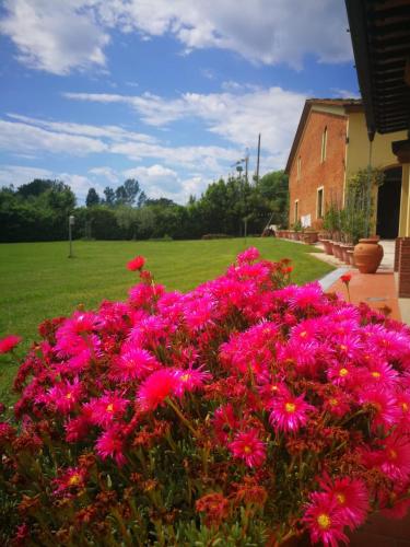 a bunch of pink flowers in front of a house at B&B La Fornace del Sole in Capannori