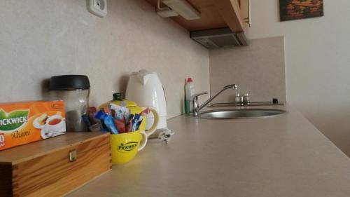 a kitchen counter with a sink and a cup of utensils at Aparthotel City 5 in Prague
