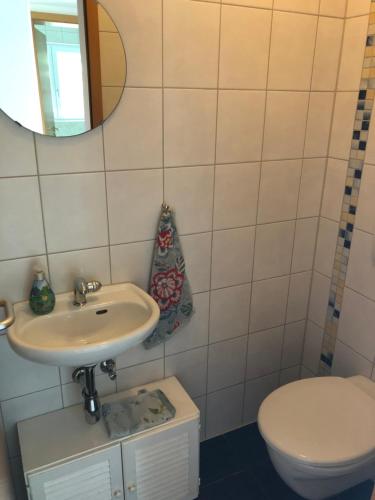 a bathroom with a sink and a toilet at Apartment Green Elephant in Tettnang