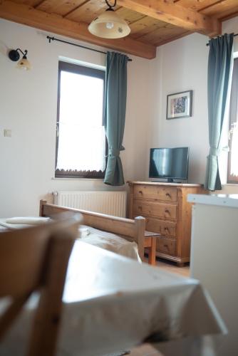 TV a/nebo společenská místnost v ubytování Levendula Apartman