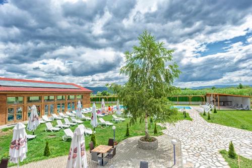 a patio with chairs and a tree in front of a building at Thermal Hotel Seven Seasons in Banya