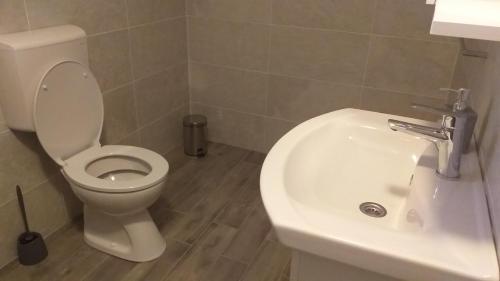 a bathroom with a white toilet and a sink at Studio Apartmani Patricia in Smoljanac