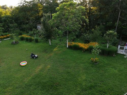Zahrada ubytování Guesthouse SANIKO