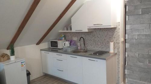 a kitchen with a sink and a microwave at Studio Apartmani Patricia in Smoljanac
