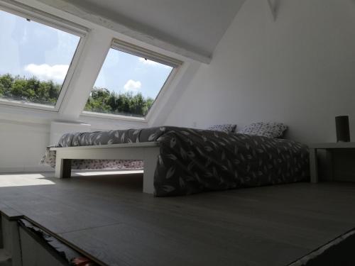 un salon avec un canapé et deux fenêtres dans l'établissement Le Duplex reseau Cycle gites, à Fleury-sur-Orne