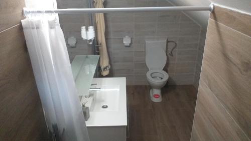 a bathroom with a white toilet and a sink at Studio Apartmani Patricia in Smoljanac