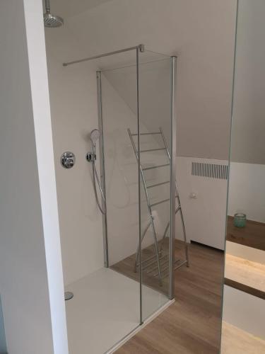 eine Dusche mit Glastür in einem Zimmer in der Unterkunft Luxueus duplex appartement aan zee in Koksijde