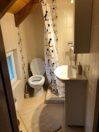 a small bathroom with a toilet and a sink at Casa Livada cu Meri in Vişeu de Jos