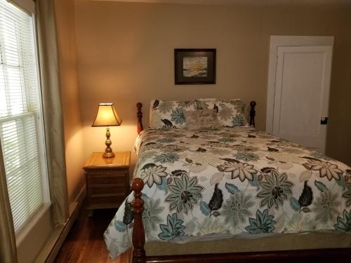 a bedroom with a bed and a lamp and a window at The Cabins at Healing Springs in Crumpler