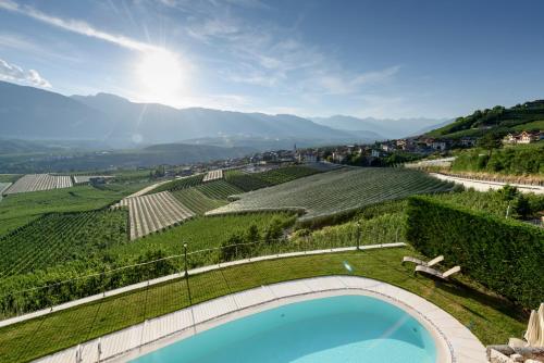 a swimming pool in the middle of a vineyard at Agritur La Pieve in Taio