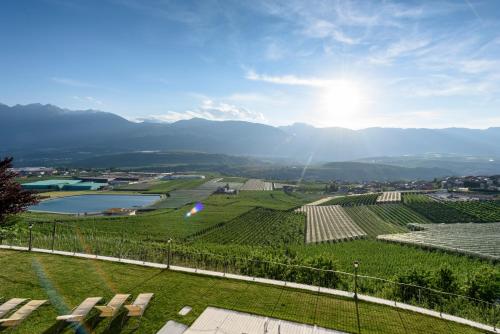a view of a vineyard with mountains in the background at Agritur La Pieve in Taio