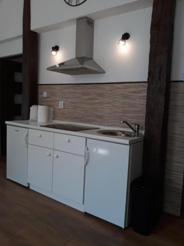 a white kitchen with a sink and a stove at Apartments and Rooms Štefanac in Slunj