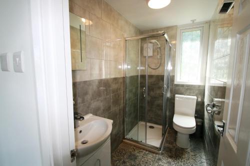 a bathroom with a toilet and a shower and a sink at Freshwater Bay Holiday Cottages in Pembroke