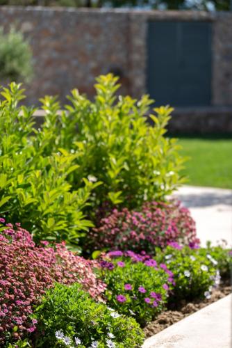 a garden of flowers in front of a building at Ta Spitakia in Kos Town