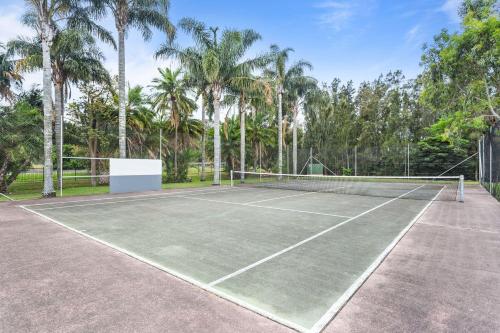a tennis court with palm trees in the background at Mountain View Resort in Shoalhaven Heads