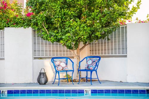two chairs sitting next to a tree next to a pool at Inn at Palm Springs in Palm Springs