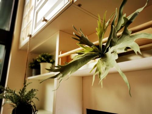 a potted plant hanging from a ceiling at Bluewater Hotel Xpark Gloria Outlets Taoyuan Baseball Stadium in Dayuan