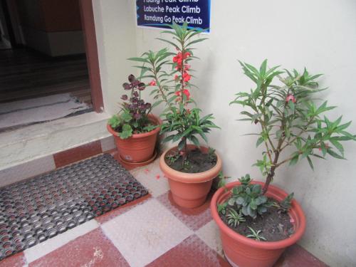 a group of potted plants sitting next to a door at STUPA VIEW INN in Kathmandu