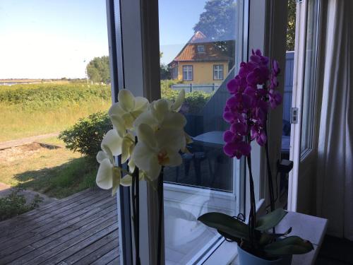 Ogród w obiekcie Skærven Beachfront Apartments and Cottage