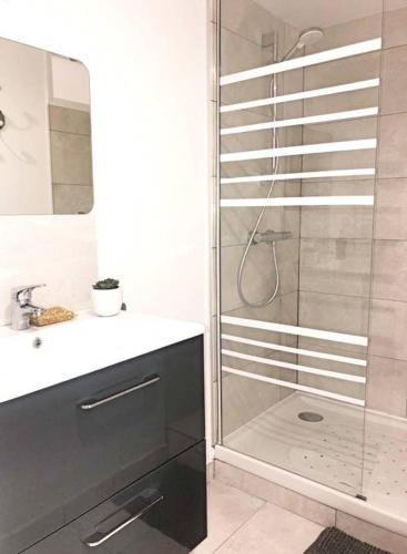 une salle de bain avec une douche en verre et un lavabo dans l'établissement T3 L'Olivier & Jardin 1 à 4 Pers à Villa Terra, à Balma