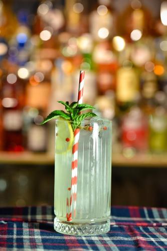 a drink in a glass with a plant in it at Central Inn in Zlatibor