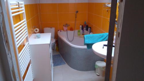ein kleines Bad mit einer Badewanne und einem Waschbecken in der Unterkunft U babičky a jeji psí smečky in Veselíčko