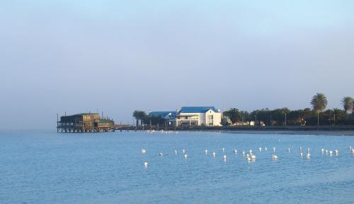 a flock of swans in the water near a pier at Tiende Laan Bed & Breakfast and Self-Catering in Walvis Bay