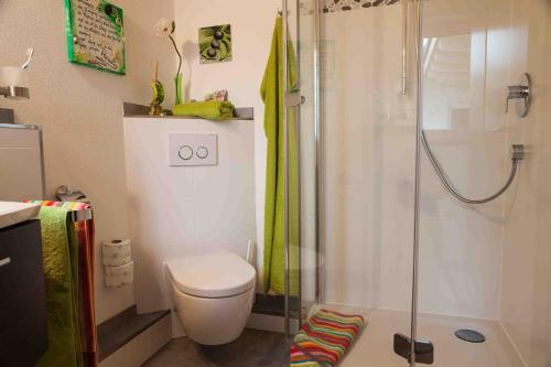 a bathroom with a shower with a toilet and a sink at Ferienwohnung Hanne in Untrasried