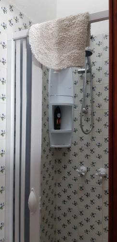 a bathroom with a shower with a toilet and a shower at Casa Vacanze Paola 2 in Santa Luria