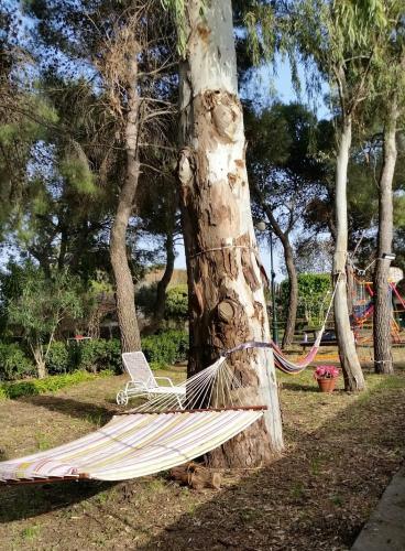 a hammock tied to a tree in a park at Villa Morgante B&B in Pedara