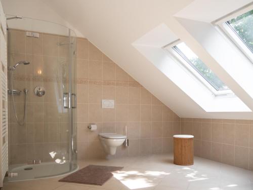 ein Bad mit einer Dusche und einem WC in der Unterkunft Reiterhof und Pension Eichenhof in Haiger