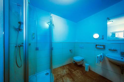 a bathroom with a shower and a toilet and a sink at Hotel Linde Pfalz in Silz