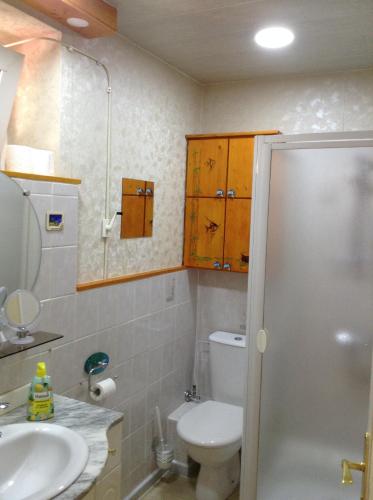 a bathroom with a white toilet and a sink at Chez Michel in Le Bonhomme