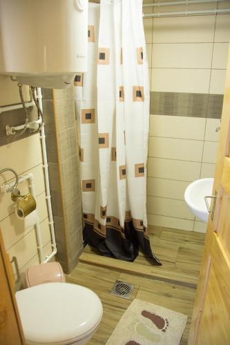 a bathroom with a toilet and a shower curtain at Etno selo Smrčevo brdo in Žabljak
