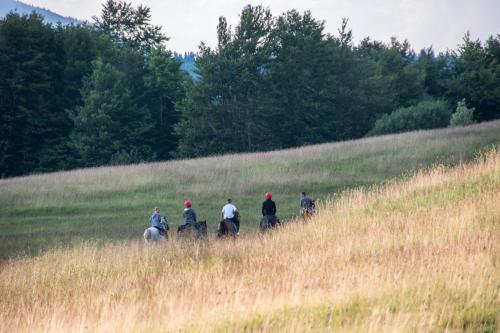 a group of people riding horses in a field at Etno selo Smrčevo brdo in Žabljak