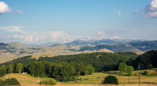 a view of a valley with mountains and trees at Etno selo Smrčevo brdo in Žabljak