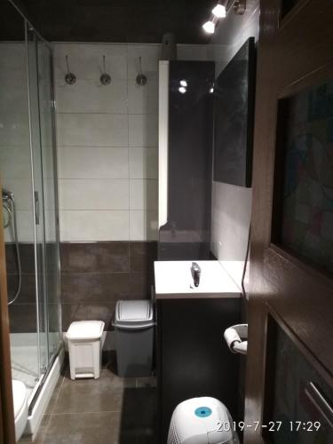 a bathroom with a toilet and a sink and a shower at Km 0 Camiño Ingles Benito Vicetto, 14 in Ferrol