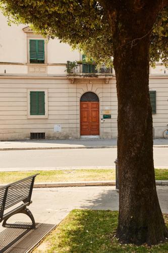 a park bench next to a tree and a building at Sette Note Guest House in Arezzo