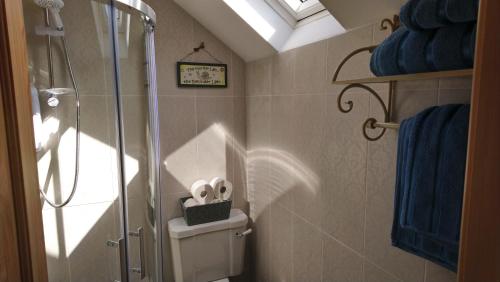 een badkamer met een glazen douchecabine met een schaar in een houder bij Kitty's in Tullamore