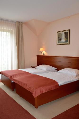 Katil atau katil-katil dalam bilik di Hotel Mladimir