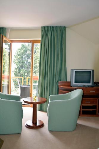 Televisyen dan/atau pusat hiburan di Hotel Mladimir