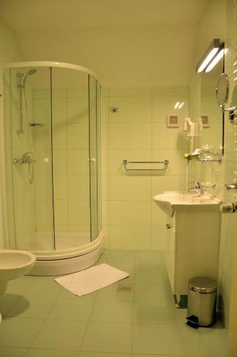 Bilik mandi di Hotel Mladimir