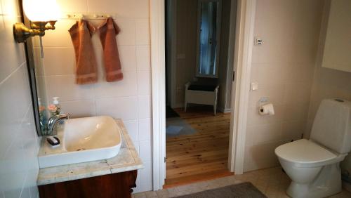 a bathroom with a sink and a toilet at Vimmerby Lilla utsikten in Tuna