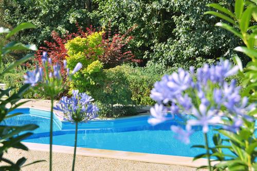a blue swimming pool with purple flowers in the foreground at Ferienwohnung Sonne in Kurort Gohrisch