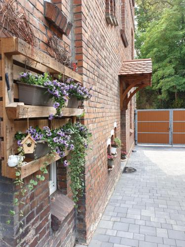 a brick wall with flowers and plants on it at Tinyhaus Wolkenlos Familie Hamdorf in Bad Sulza