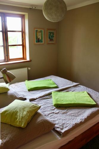 a bedroom with two beds with green pillows on them at Kleine Auszeit in Kluis