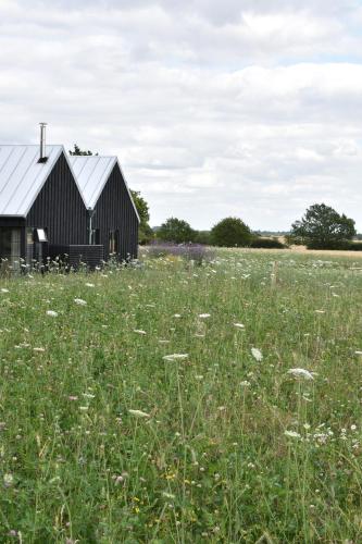 a black barn in a field of grass at The Fieldbarns at Bullocks Farm in Bishops Stortford