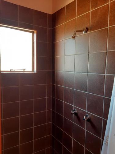 a bathroom with a shower with a window at Tismaree Guestfarm in Rietoog