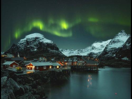 Φωτογραφία από το άλμπουμ του Lofoten Fishing σε Å
