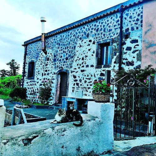 two cats sitting in front of a building at Villa Etna Masi' in Milo